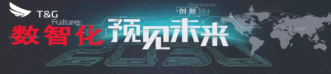 數智化.png